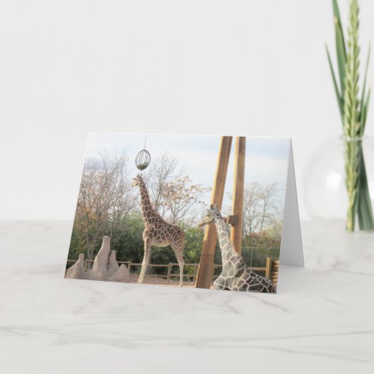 Giraffes Carte d'anniversaire (Devant)