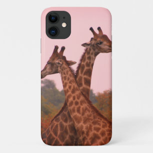 Giraffes die in Mopani bomen staan met roze lucht iPhone 11 Hoesje