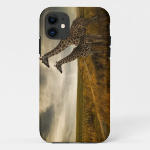Giraffes en landschap iPhone 11 hoesje