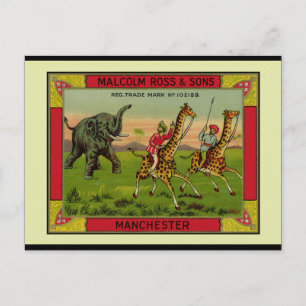 Giraffes en olifanten briefkaart