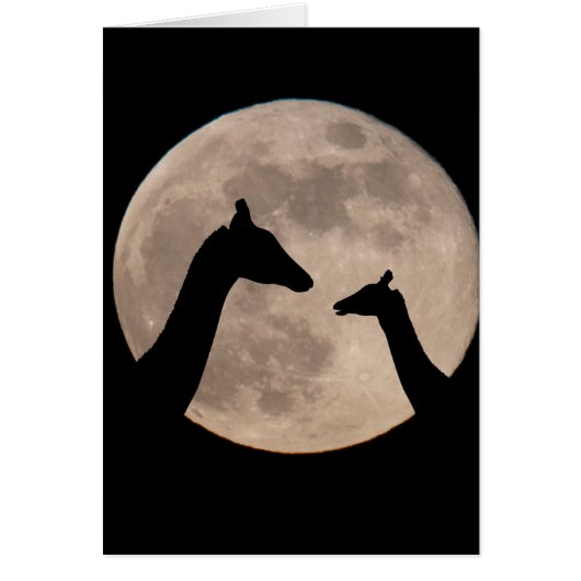 Giraffes En Pleine lune (Devant)