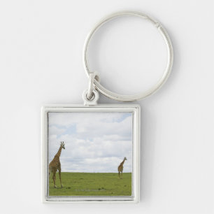 Giraffes in Kenia, Afrika Sleutelhanger