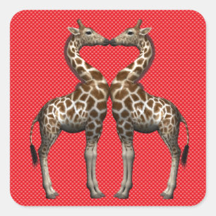 Giraffes in liefde vierkante sticker