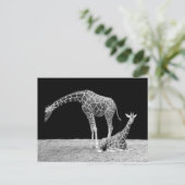 Giraffes in zwart-wit briefkaart (Staand voorkant)