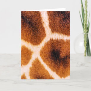 GIRAFFES KAART