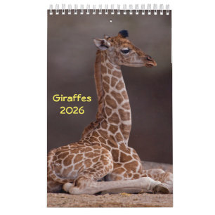 Giraffes Kalender