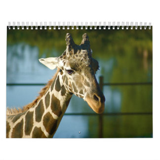 Giraffes Kalender