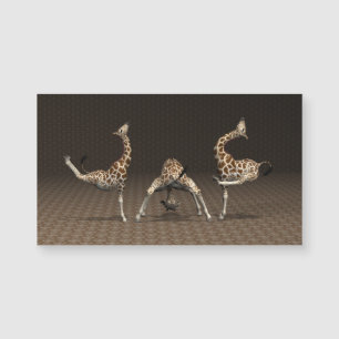 Giraffes Love Gymnastics