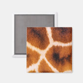 GIRAFFES MAGNEET (Voorkant / Achterkant)