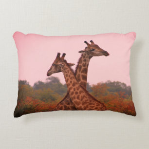 Giraffes met een roze lucht accent kussen