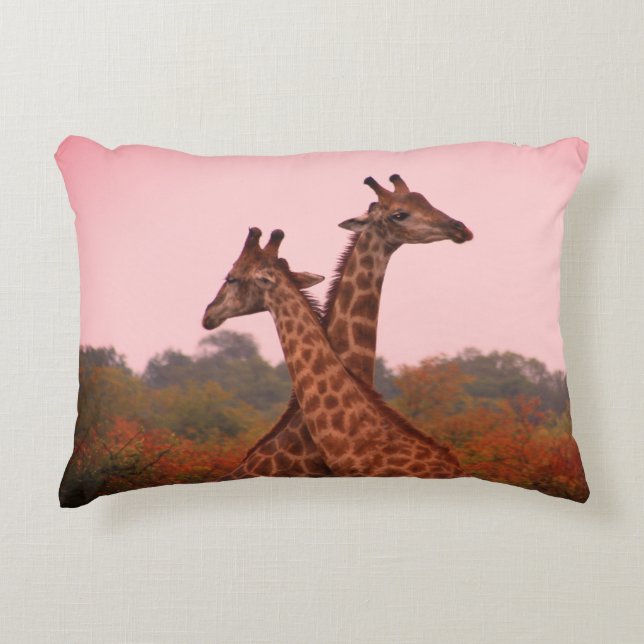 Giraffes met een roze lucht accent kussen (Voorkant)