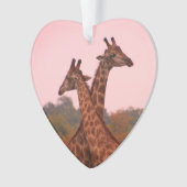 Giraffes met een roze lucht ornament (voorkant)