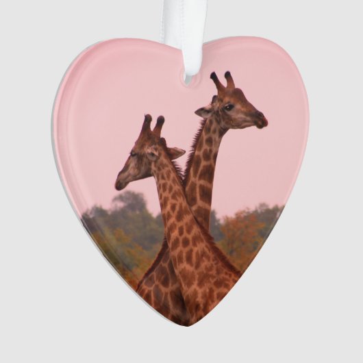 Giraffes met een roze lucht ornament (voorkant)