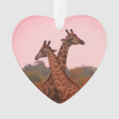 Giraffes met een roze lucht ornament (achterkant)