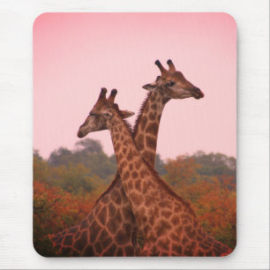 Giraffes Muismat