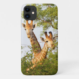 Giraffes Peeking Above Vegetation iPhone 11 Hoesje