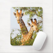 Giraffes Peeking Above Vegetation Muismat (Met muis)