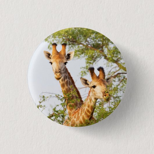 Giraffes Peeking Above Vegetation Ronde Button 3,2 Cm (Voorkant)