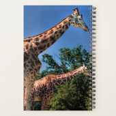 Giraffes Planner (Achterkant)