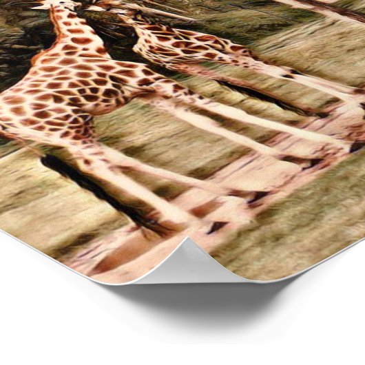 Giraffes Poster (Hoek)