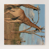 Giraffes Puzzle 20" x 20" (Horizontal)