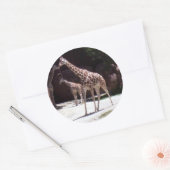 Giraffes Ronde Sticker (Envelop)
