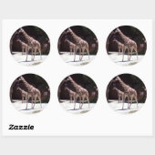 Giraffes Ronde Sticker (Vel)