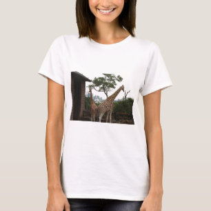 Giraffes Sydney Opera House Taronga Zoo Australië T-shirt