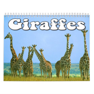 Giraffes wandkalender kalender