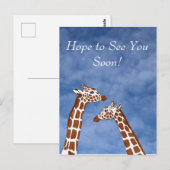 Giraffes zien je snel briefkaart (Voorkant / Achterkant)
