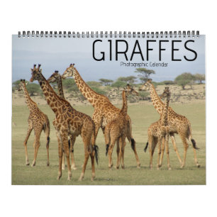 giraffesafari 2027 grote kalender