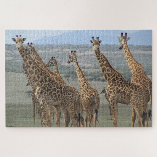 giraffetoren legpuzzel (Horizontaal)