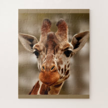 Giraffo Zoo Animal Portrait Wild Puzzle