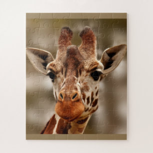 Giraffo Zoo Animal Portrait Wild Puzzle