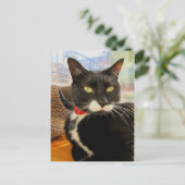  Girl Lucy Briefkaart (Staand voorkant)