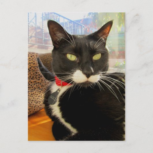  Girl Lucy Briefkaart (Voorkant)