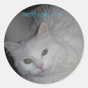 GIRL>^< RONDE STICKER