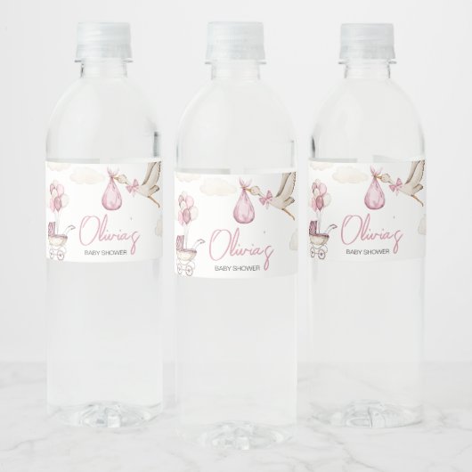 Girl Storck Special Delivery Baby shower Waterfles Etiket (Flessen)