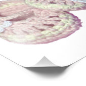 GIrls Baby Booty photo imprimer (Coin)