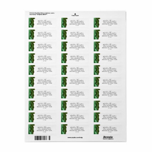 Girly Green Agate Geode Script Typografie Adres Etiket (Full Sheet)