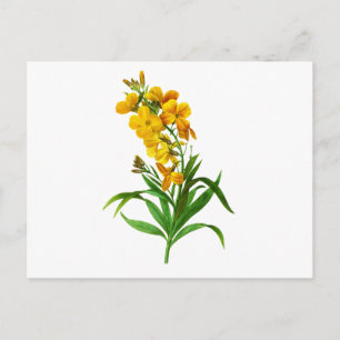 Giroflee Jaune door Pierre Joseph Redoute Briefkaart