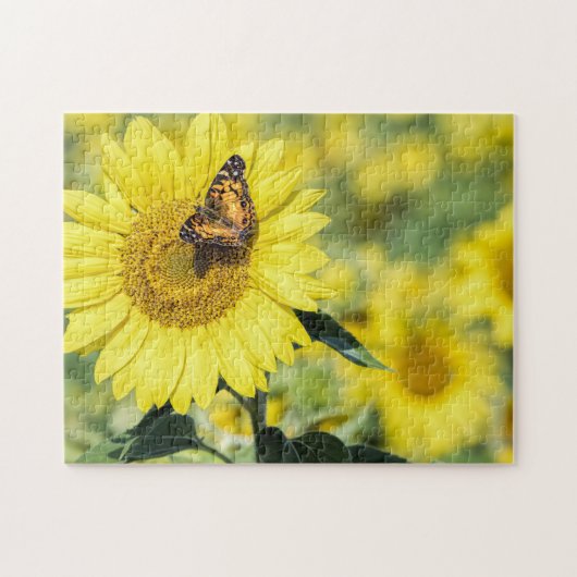 Gisement de tournesol avec le puzzle de papillon (Horizontal)