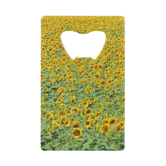Gisement jaune de tournesol (Devant)