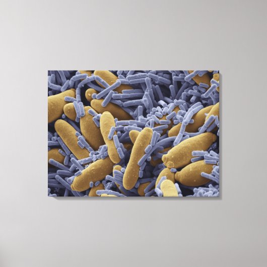 Gist en bacteriën in kefir melk canvas afdruk (Voorkant)