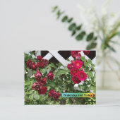 Gisteren en vandaag briefkaart (Staand voorkant)