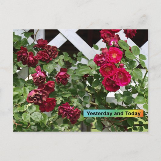 Gisteren en vandaag briefkaart (Voorkant)