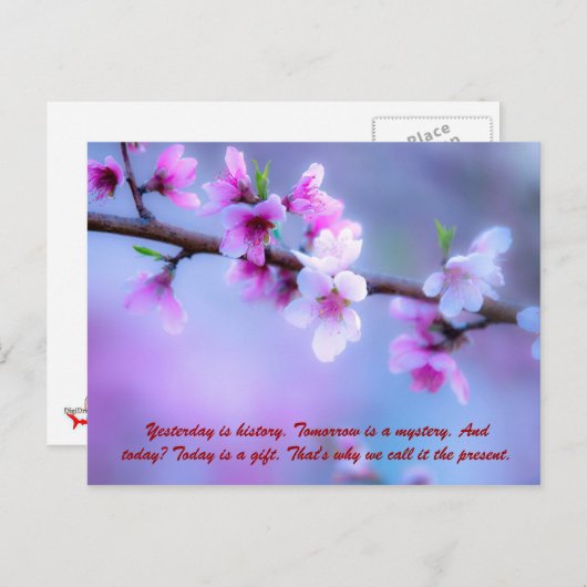 Gisteren is geschiedenis. Morgen is een mysterie.  Briefkaart (Voorkant / Achterkant)