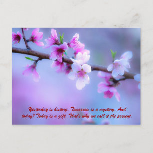 Gisteren is geschiedenis. Morgen is een mysterie. Briefkaart