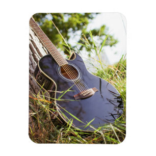 gitaar magneet