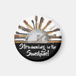 GITAAR SNAREN IN DE ZON MAGNEET